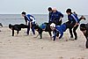 DSC02816g.JPG