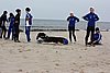 DSC02816s.JPG