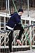 DSC02816y.JPG