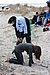 DSC02920d.JPG
