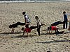 DSC07615.JPG