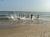 DSC07620.JPG