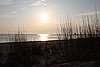 DSC07633a.JPG