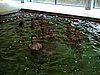 DSC07635.JPG