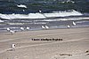 DSC05921b.JPG