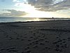 DSC05925.JPG