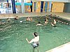DSC05978.JPG