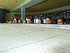 DSC05979.JPG
