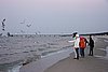 DSC05985f.JPG