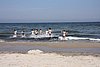 DSC05990c.JPG