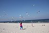 DSC05990k.JPG