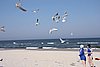 DSC05990l.JPG